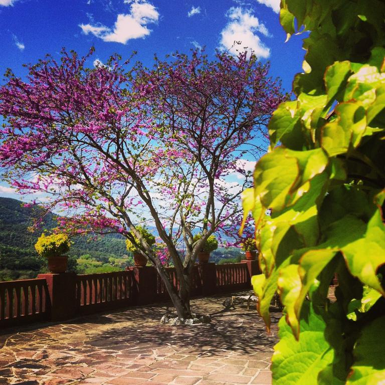 Masia Vista Hermosa Vallromanes Buitenkant foto